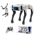 Intelligent Interactive AI Robot Dog